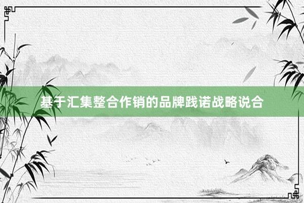 基于汇集整合作销的品牌践诺战略说合