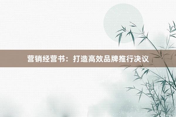 营销经营书：打造高效品牌推行决议