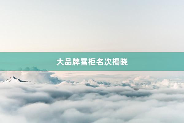 大品牌雪柜名次揭晓