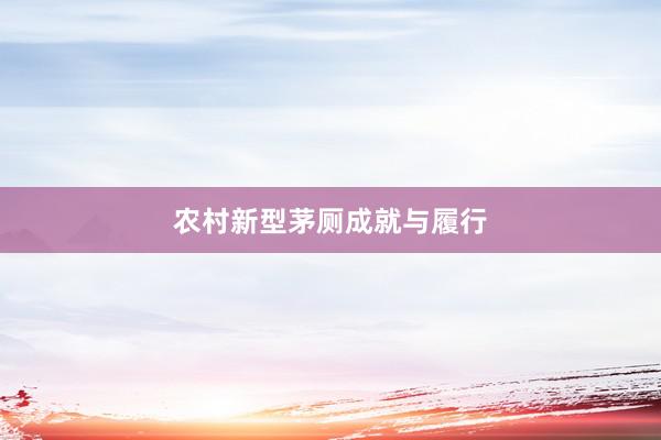 农村新型茅厕成就与履行
