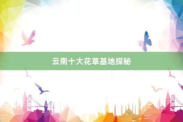 云南十大花草基地探秘