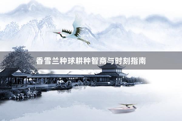 香雪兰种球耕种智商与时刻指南