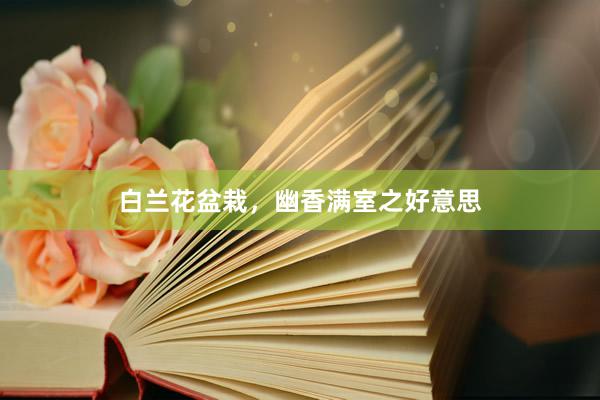 白兰花盆栽，幽香满室之好意思