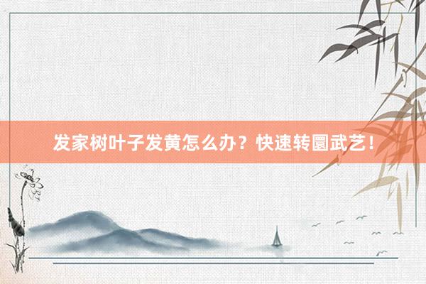 发家树叶子发黄怎么办？快速转圜武艺！